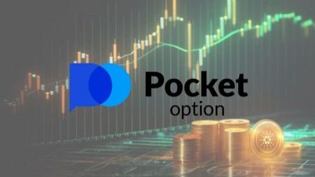 Ultimate Guide to Pocket Option Traders Strategies and Success