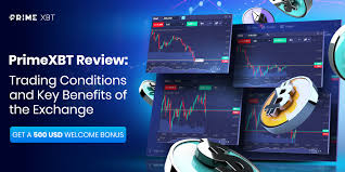 Unlocking the Future of Trading with PrimeXBT A Comprehensive Guide