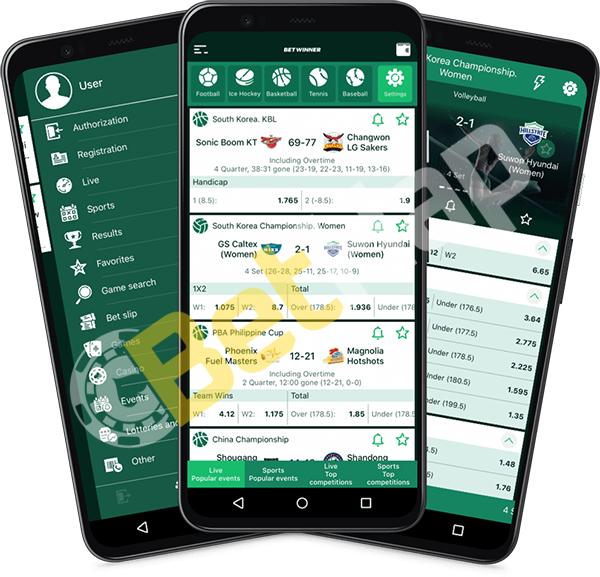 Everything You Need to Know About Baji Live Login 16