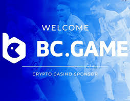 Understanding BC.Game Bet Types A Comprehensive Guide
